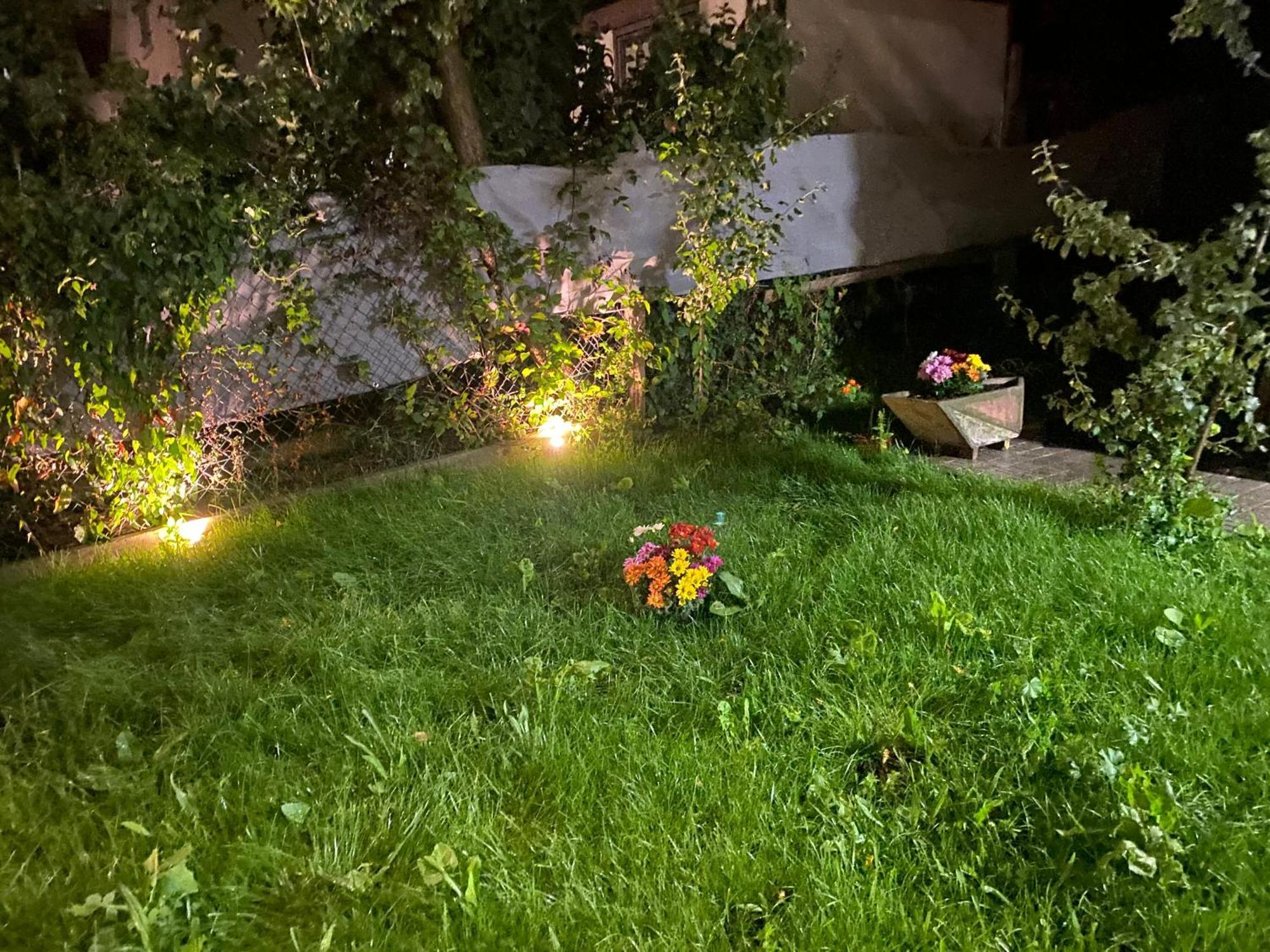 Eden In Vitry Logement Entier Kültér fotó